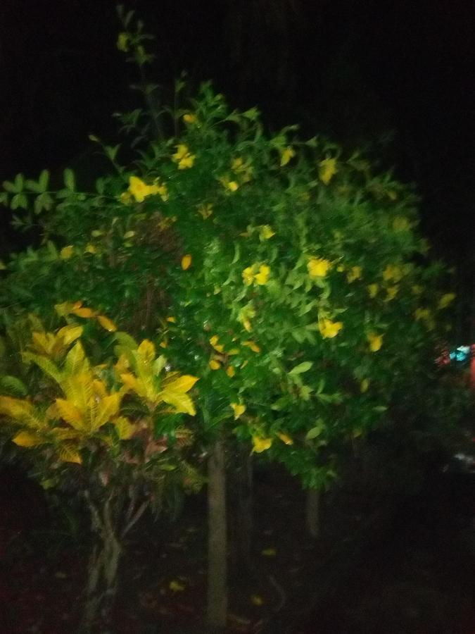 Labanya Guest House Konark Exterior photo